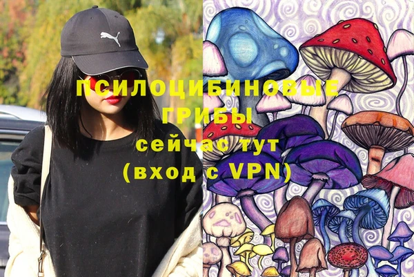 2c-b Армянск