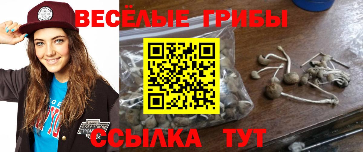 Дюртюли  Псилоцибиновые грибы мицелий  Галлюциногенные грибы прущие грибы  Вход с VPN 