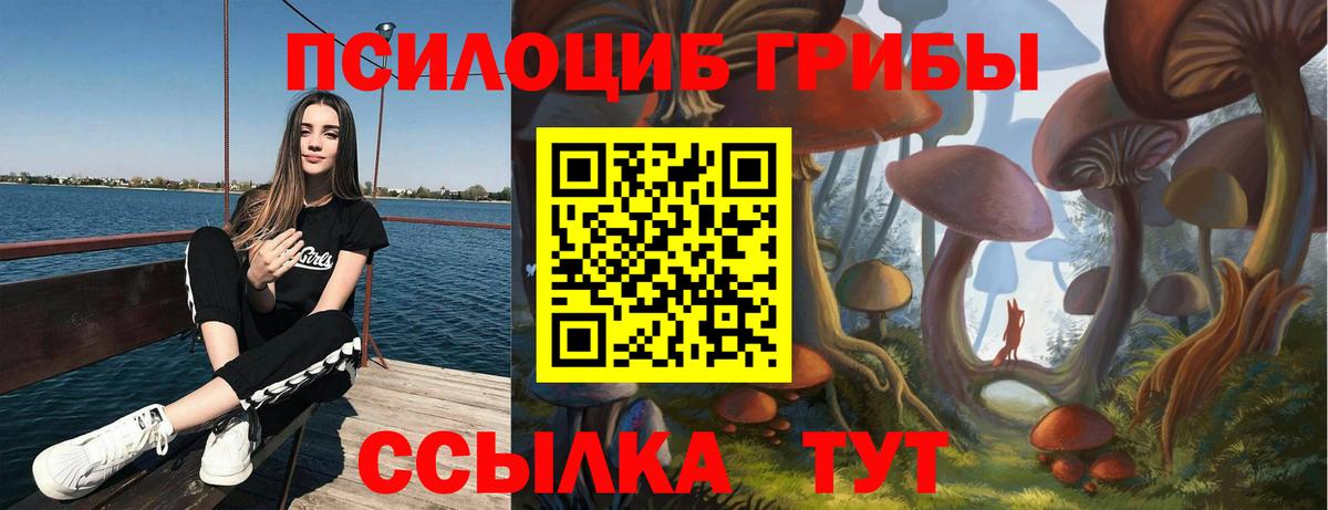 Псилоцибиновые грибы Psilocybe Дюртюли